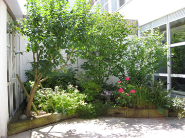 Terrassengarten
